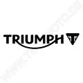 R&G Lenker Protektoren Triumph Trident 660 / Speed Triple 1200 RS 2021- / Tiger 660 Sport 2022-