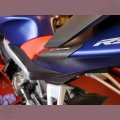 R&amp;G Carbon Heck Protektor Aprilia RS 660 / Tuono 660 2021-