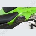 R&G Racing Carbon Heck Protektor Kawasaki ZX-10 R 2011-2015