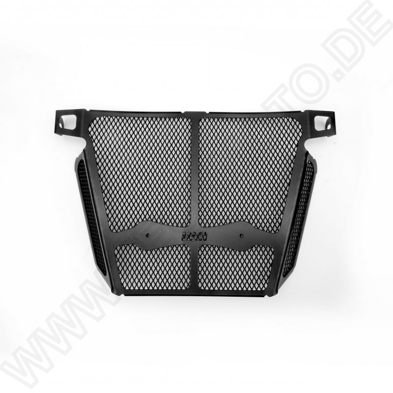 R&G Racing Downpipe Grille BMW F 900 R 2020-