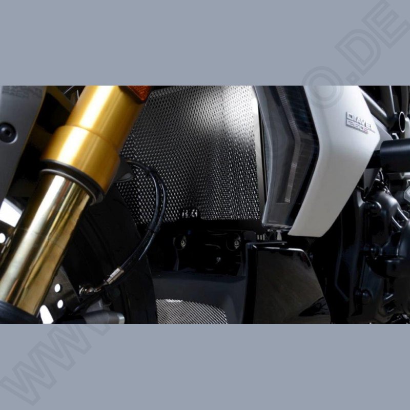R&G Radiator Guard Ducati Diavel 1260 2021-
